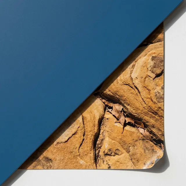 [object Object] — An image uncovered by a shape sliding across it.